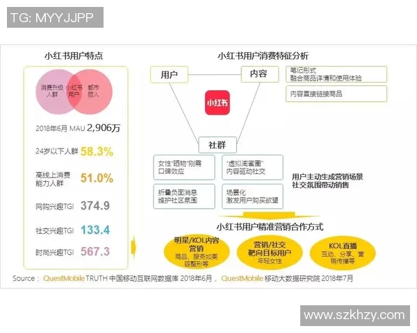 北京极限运动队的区域防守策略与热点分析探讨