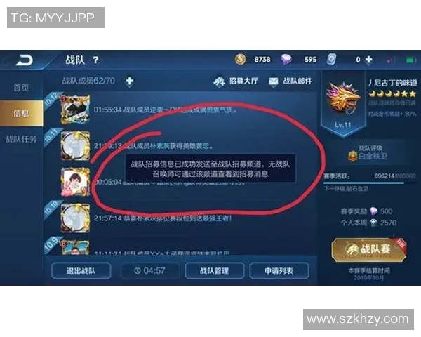 王者荣耀战术解析V5战队如何构建高效节奏体系