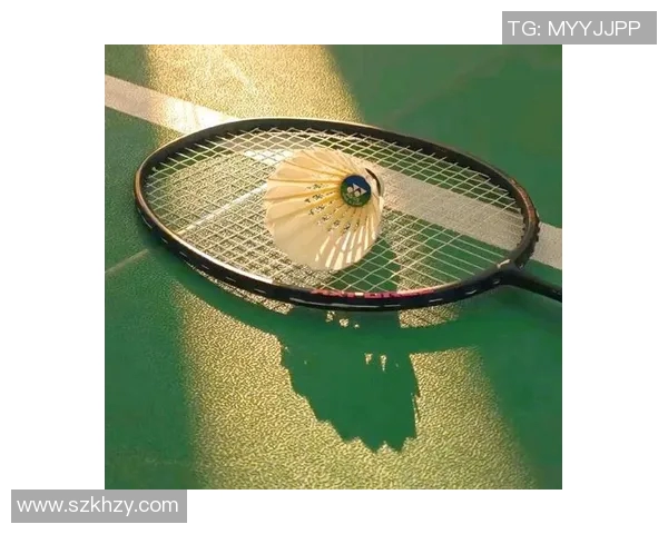 科学羽毛球力量训练全攻略提升你的竞技水平与身体素质