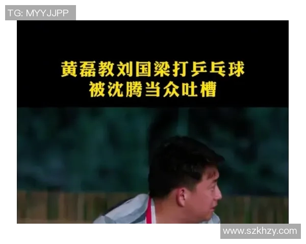 黄磊谈乒乓球生涯与人生哲学的深度对话与思考