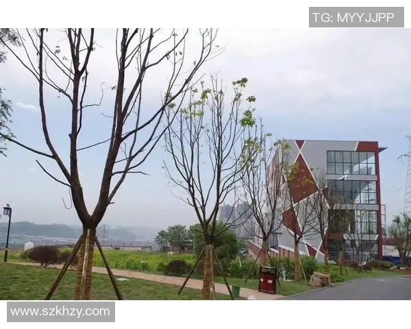 重庆攀岩队协作研究：提升团队配合与竞技水平的探索之路