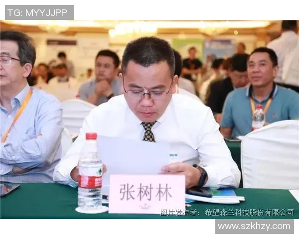 上海羽毛球队区域防守创新策略解析与实践经验分享