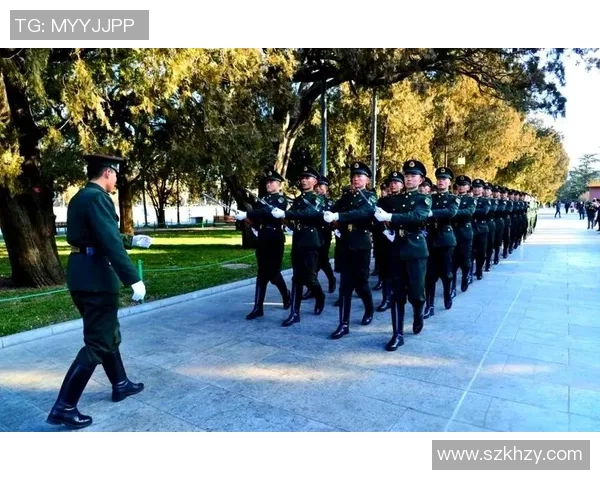 南京排球队的蜕变之旅：从传统强队到现代竞技新标杆的探索与挑战