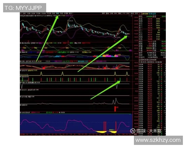上海篮球队总决赛技术分析与表现评估的深度解读 上海篮球队总决赛技术分析与表现评估的深度解读